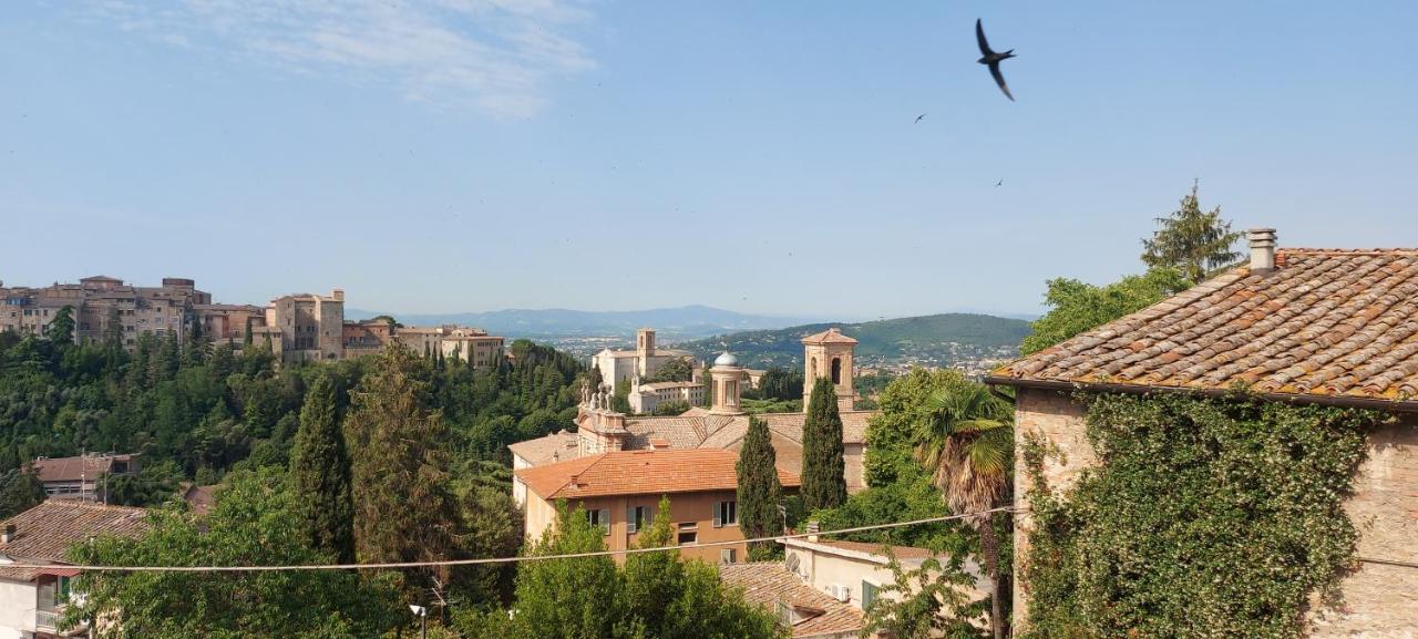 La Tana Di Margherita Perugia Eksteriør billede